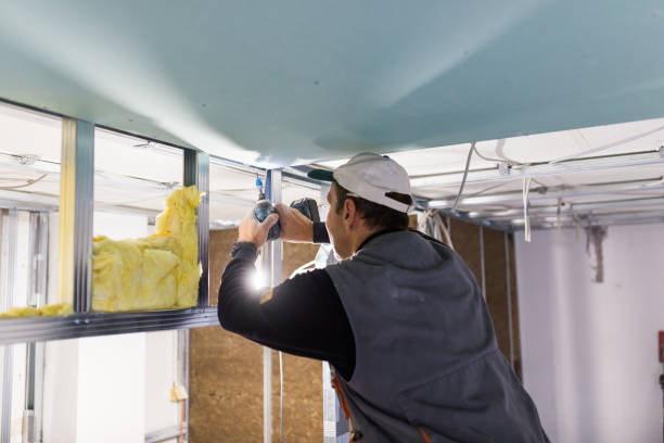 Best Attic Insulation Installation  in Rawls Springs, MS